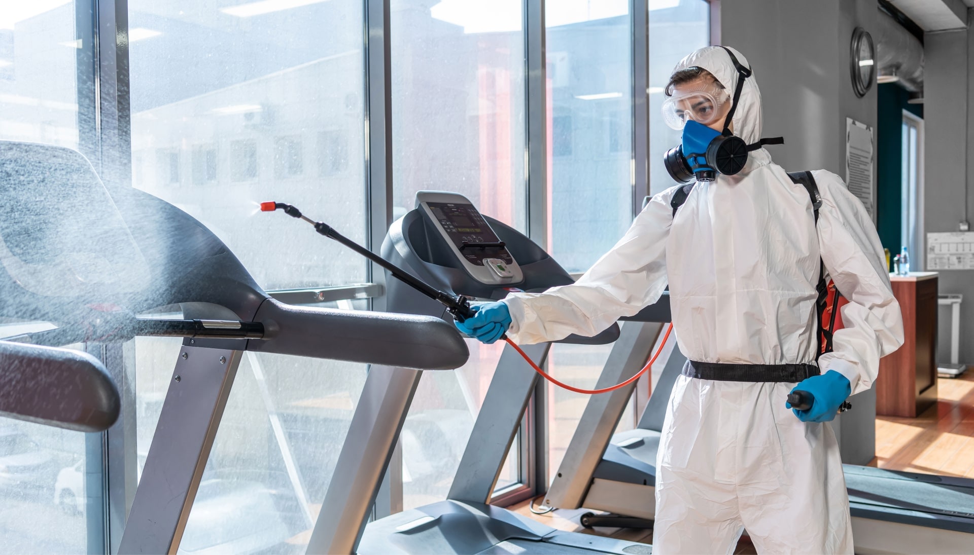 Commercial Mold Removal Services in Plantation