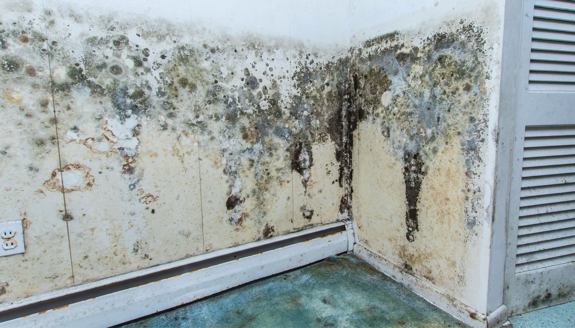 A mold remediation team using specialized techniques to remove mold damage and control odors in a Plantation property, with a focus on safety and efficiency